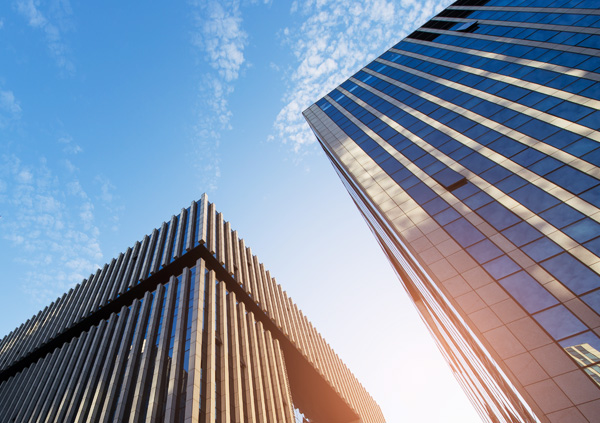 耐寒耐旱草花基地、信宜绿九州、信宜耐寒耐旱草花基地、耐寒耐旱草花基地、时令花卉/绿化草花价格、耐寒耐旱草花基地、五一国庆草花批发、观赏草/蒲苇狼尾草、宿根花卉基地 、鲁冰花/粉黛乱子草。